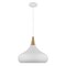 Nuvo Phoenix 1-Light Large Pendant Matte White with Burnished Brass 60/7518 - alternate 5